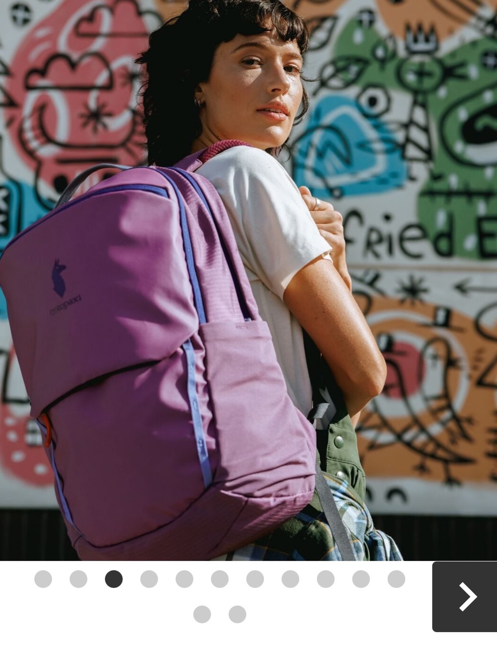 Cotopaxi Allpa 26L Daypack in Fig - Picture 15 of 15